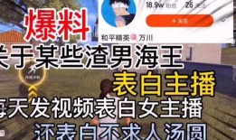 绍兴渣男爆料视频最新版,揭秘惊人真相，引发社会热议